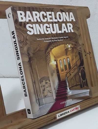 Barcelona Singular - Josep Mº Montaner e Isabel Aparici.