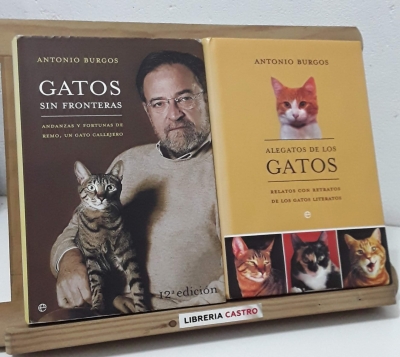 Gatos sin fronteras. Andanzas y fortunas de Remo, un gato callejero - Antonio Burgos