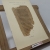 Papirs i pergamis de Barcelona: I et II in Catilinam. Inv. 10, 11, 42, 43, 46, 47, 84, 154b, 156a, 156b, 6-25, 1-5, 158-161