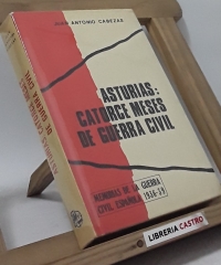 Asturias: catorce meses de guerra civil - Juan Antonio Cabezas