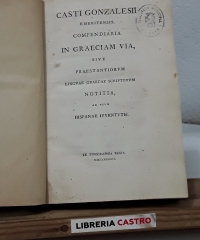 Casti Gonzalesii emeritensis Compendiaria in Graeciam via sive Praestantiorum linguae graecae scriptorum notitia ad usum Hispanae iuventutis - Casto González.