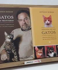 Gatos sin fronteras. Andanzas y fortunas de Remo, un gato callejero - Antonio Burgos