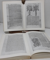 Pedacio Dioscórides Anazarbeo (1555) Ahora nuevamente publicado (II Tomos, Numerado) - Andrés Laguna.
